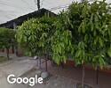 Foto exterior de Distribuidora De Vidrios La Semilla
