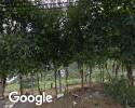 Foto exterior de El Rinconcito Lebrijence