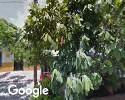 Foto exterior de Farfán Guauña Marleny