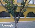 Foto exterior de Graficolor Litografia