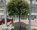 Foto exterior de Jugueteka