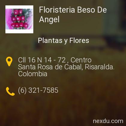 Floristeria Beso De Angel en Santa Rosa de Cabal - Teléfonos y Dirección