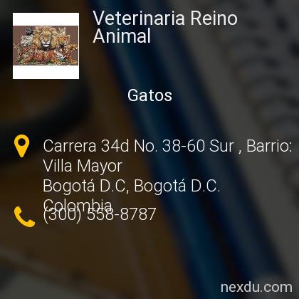 Veterinaria Reino Animal en Vitelma, San Cristóbal, Bogotá - Teléfonos y Dirección Veterinaria Reino Animal en Vitelma, San Cristóbal, Bogotá - Teléfonos y Dirección
