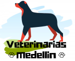 Fotos de Veterinarias Medellin