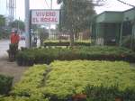 Vivero El Rosal