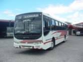 Fotos de Auto Transportes Pavas S.a.