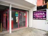 Fotos de Centro De Estetica Canina