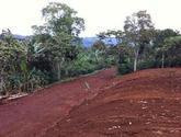 Fotos de Compra Y Venta De Propiedades Palmares Alajuela Costa Rica