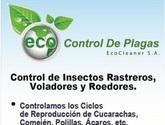 Fotos de Control Natural De Plagas Cnp.sa