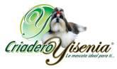 Fotos de Criadero Yisenia