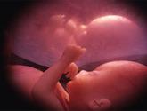 Fotos de Dr. Randall Zamora Lopez Ginecólogo Obstetra