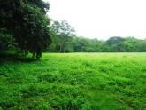 Fotos de Finca En Guanacaste De Oportunidad
