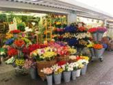 Fotos de Floristería Arde Amor