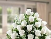 Fotos de Floristeria D'melo