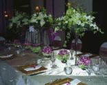 Fotos de Floristería Y Regalitos Fantasía
