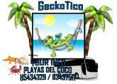 Fotos de Geckotico Tours