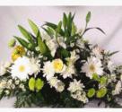 Fotos de La Casa De Las Flores