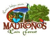 Fotos de Madroños Rain Forest