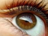 Fotos de Medioptica Salud Visual