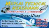 Fotos de Muflas Técnicas Heredianas