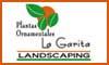 Fotos de Plantas Ornamentales La Garita
