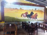 Fotos de Pollo Vaquero Jerry Rest Y Cabina En Aguas Zarcas