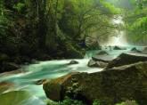 Fotos de Pure Life Tours
