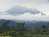 Fotos de Quintas Jardines La Isla
