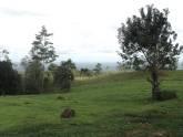 Fotos de Quintas Linda Vista - Chachagua