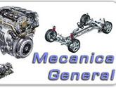 Fotos de Meca Express