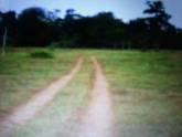 Fotos de Venta De Finca Betel