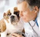 Fotos de Veterinaria Palma
