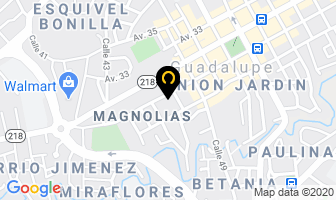 Mapa de S Ch PlÁsticos S.a en Guadalupe