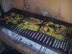 Fotos de El Troquito Ardiente