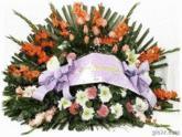 Fotos de *** Funeraria Soria *** El Puyo