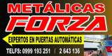 “ Metalicas Forza ”
