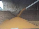 Fotos de Agrivalpul