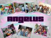 Fotos de Angelus