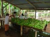Fotos de Asociacion Agroartesanal “El Carmen”
