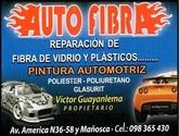 Fotos de Auto Fibra