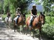 Fotos de Aventura Horses For Rent Whth
