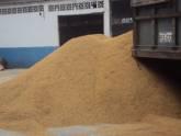 Fotos de Casa Del Agricultor ´´alegria´´