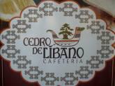 Cedro De Libano
