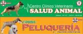 Fotos de Centro Clinico Veterinario Salud Animal