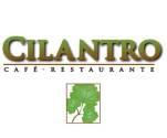 Fotos de Cilantro