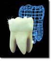 Fotos de Clinica Dental Humanitaria