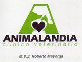 Clinica Veterinaria Animalandia