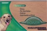 Fotos de Clinica Veterinaria Boxer