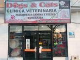 Fotos de Clinica Veterinaria Dogs & Cats
