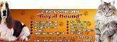 Clinica Veterinaria Royal Hound